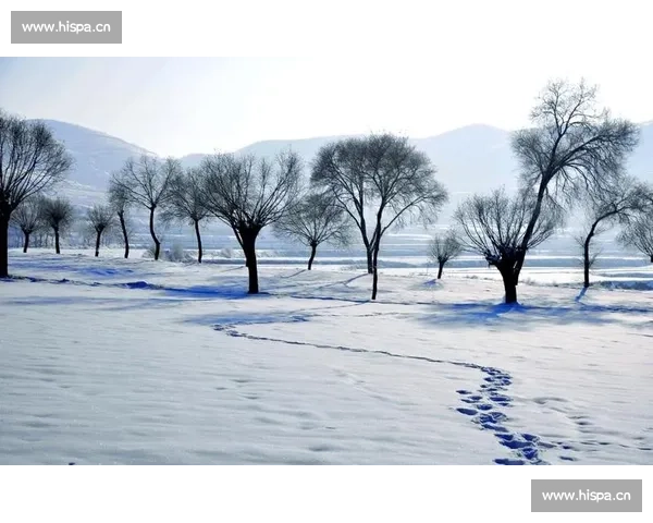 以小寒节气为中心探寻冬日养生智慧与传统文化的深层内涵